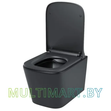 Унитаз IDDIS Bild BILR2BMi25